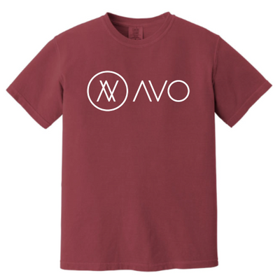 AvoInc - Unisex Comfort Colors Vintage Tee v2