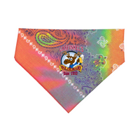 Tye-Dye Paisley