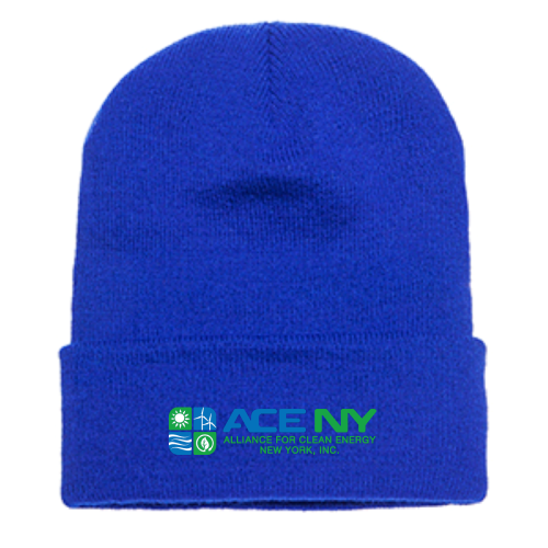 ACENY - Cuffed Knit Beanie