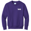 DanceTech - Port Company Youth Crewneck Sweatshirt