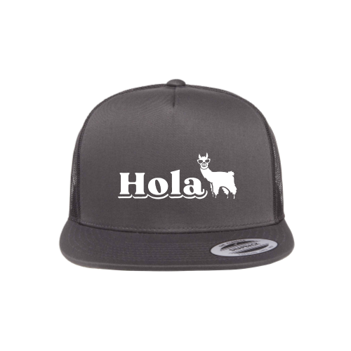 HolaMarketingFirm - YP Classics - 5-Panel Trucker
