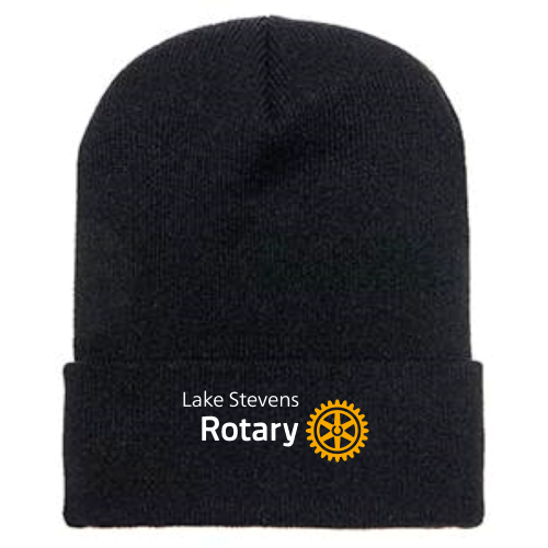 DigitalFaceMedia - Cuffed Knit Beanie