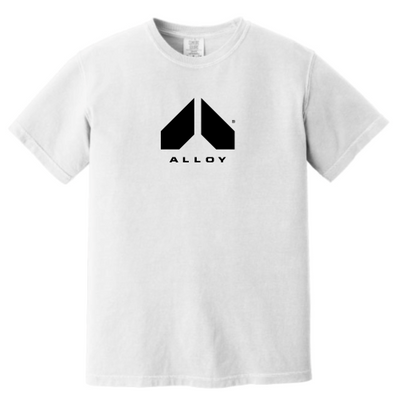 AlloyPersonalTraining - Unisex Comfort Colors Vintage Tee