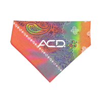 Tye-Dye Paisley