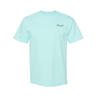 Celadon