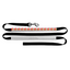 TRT - Dog Leash
