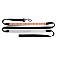 TRT - Dog Leash