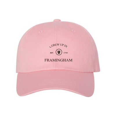 Framingham - YP Classic Dad Hat v2