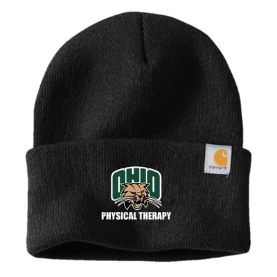 OUPT2 - Carhartt Watch Cap 2.0