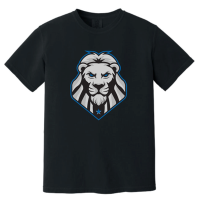 LivingWaterChristianAcademy - Unisex Comfort Colors Vintage Tee
