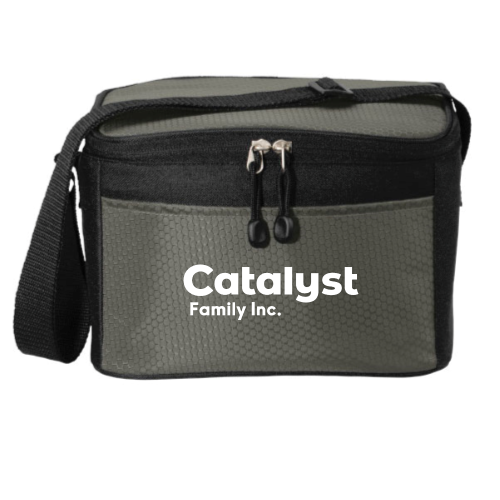Catalyst Family - Port Authority 6-Can Cube Cooler – Merchloop