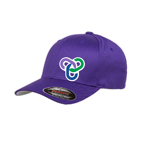 MasterYourMerger - Flexfit Hat