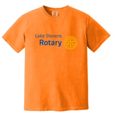 DigitalFaceMedia - Unisex Comfort Colors Vintage Tee