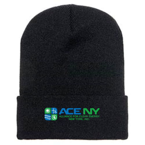 ACENY - Cuffed Knit Beanie