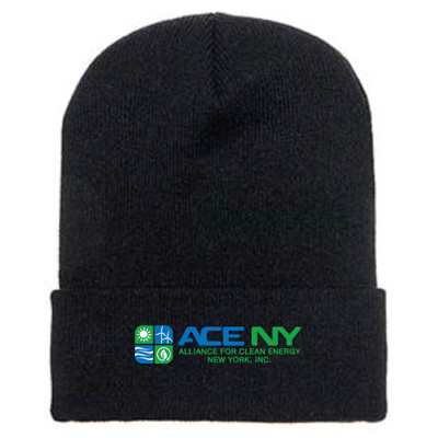ACENY - Cuffed Knit Beanie