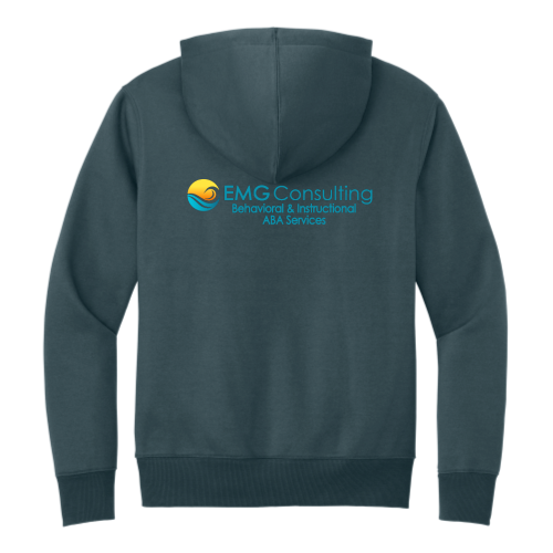 EMGConsulting - District Perfect Weight Fleece Hoodie