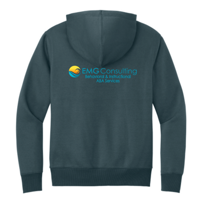 EMGConsulting - District Perfect Weight Fleece Hoodie