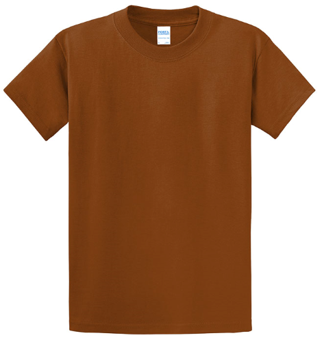 Port & Company Essential T-Shirt