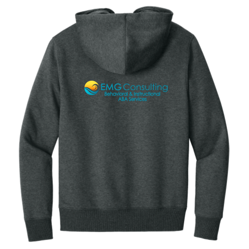 EMGConsulting - District Perfect Weight Fleece Hoodie