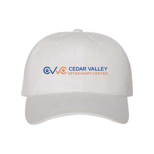 CedarValley - Yupoong Dad Hat