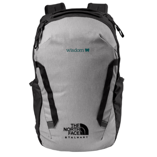 Wisdom - The North Face Stalwart Backpack