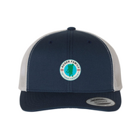 NAVY SILVER
