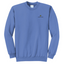 Carolina Blue
