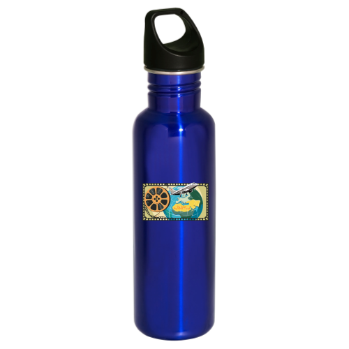 BSWT - 26oz Stainless Bottle