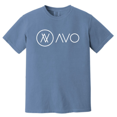 AvoInc - Unisex Comfort Colors Vintage Tee v2