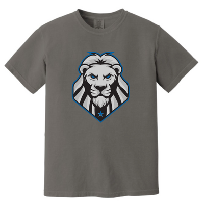 LivingWaterChristianAcademy - Unisex Comfort Colors Vintage Tee