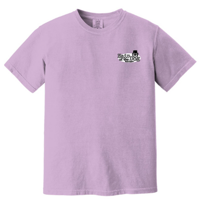 HairoftheDog Unisex Comfort Colors Vintage Tee Batch4