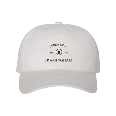 Framingham - YP Classic Dad Hat v2