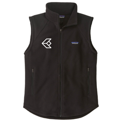 KognitiveEdge - Patagonia Women's Classic Microdini Vest