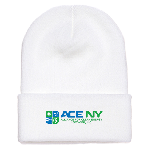 ACENY - Cuffed Knit Beanie