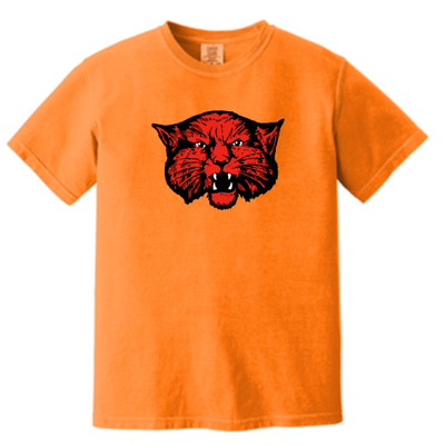 WinkLovingISD - Unisex Comfort Colors Vintage Tee