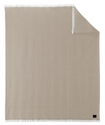 Ledger Khaki Parchment