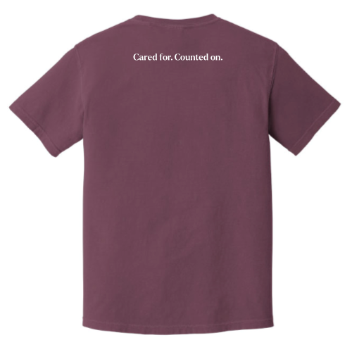 FBCS - Comfort Colors - 1717