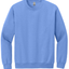 Carolina Blue