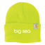 Big Sea - Carhartt Watch Cap 2.0