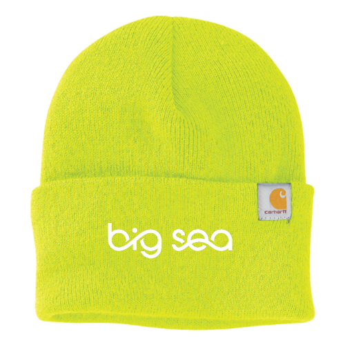 Big Sea - Carhartt Watch Cap 2.0