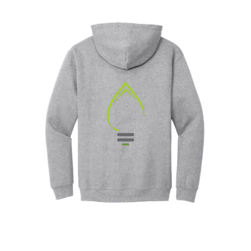 TDRElectric -Gildan Heavy Blend Hooded Sweatshirt