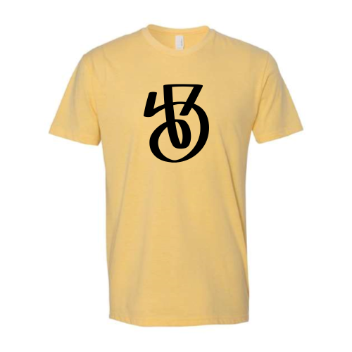 DwellDesignStudio - Next Level - 6210