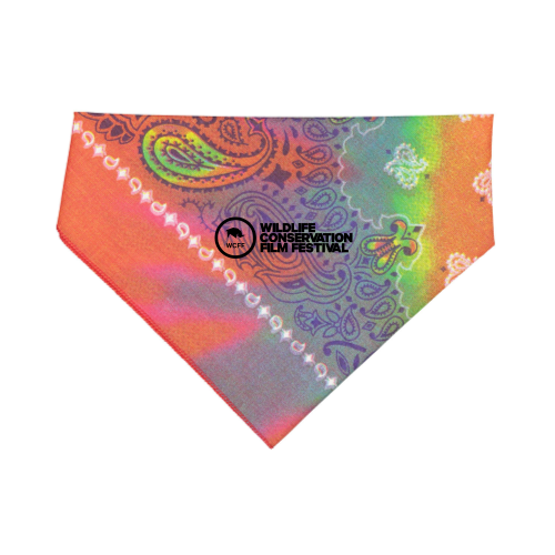 Tye-Dye Paisley
