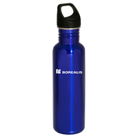 BorealisGroup - 26oz Stainless Bottle