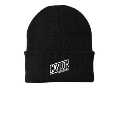 CaylorSolutions - Port Company - CP90 v1