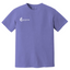 MedicalRCMServices - Comfort Colors - 1717
