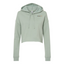 ScaleLite - Independent Trading - Crop Hoodie