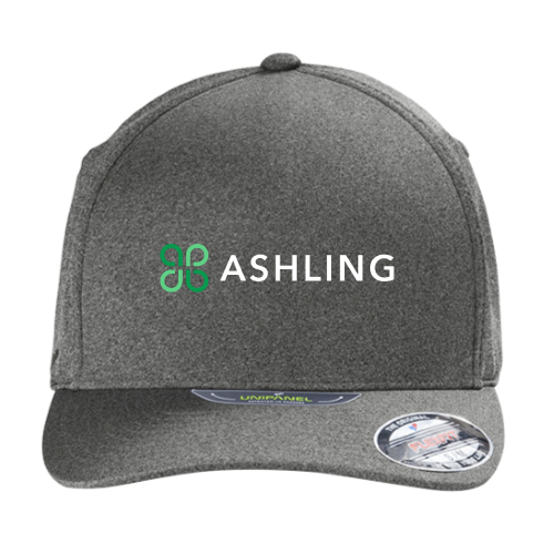 AshlingPartners - Port Authority