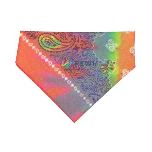 Tye-Dye Paisley