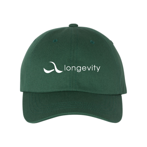 LongevityConsulting - YP Classic - Dad Hat